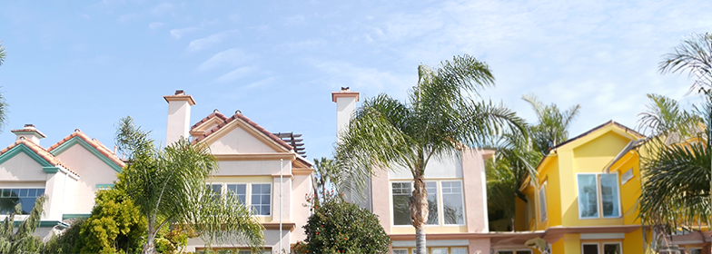 Tops of homes in a neighborhood