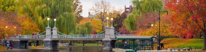 Photo of fall foliage and river in Boston