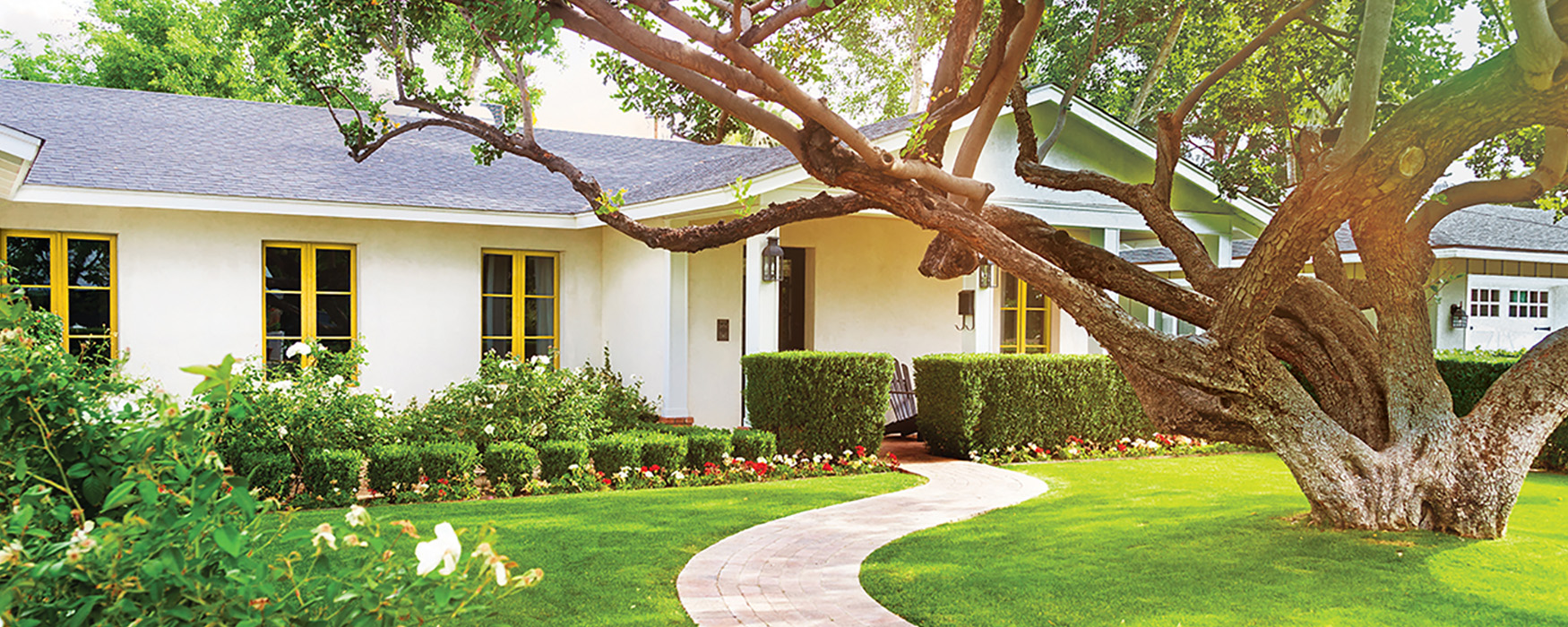 Path leading up to house through front yard